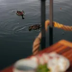 Aquachill Houseboat & Wellness Hotel na wodzie